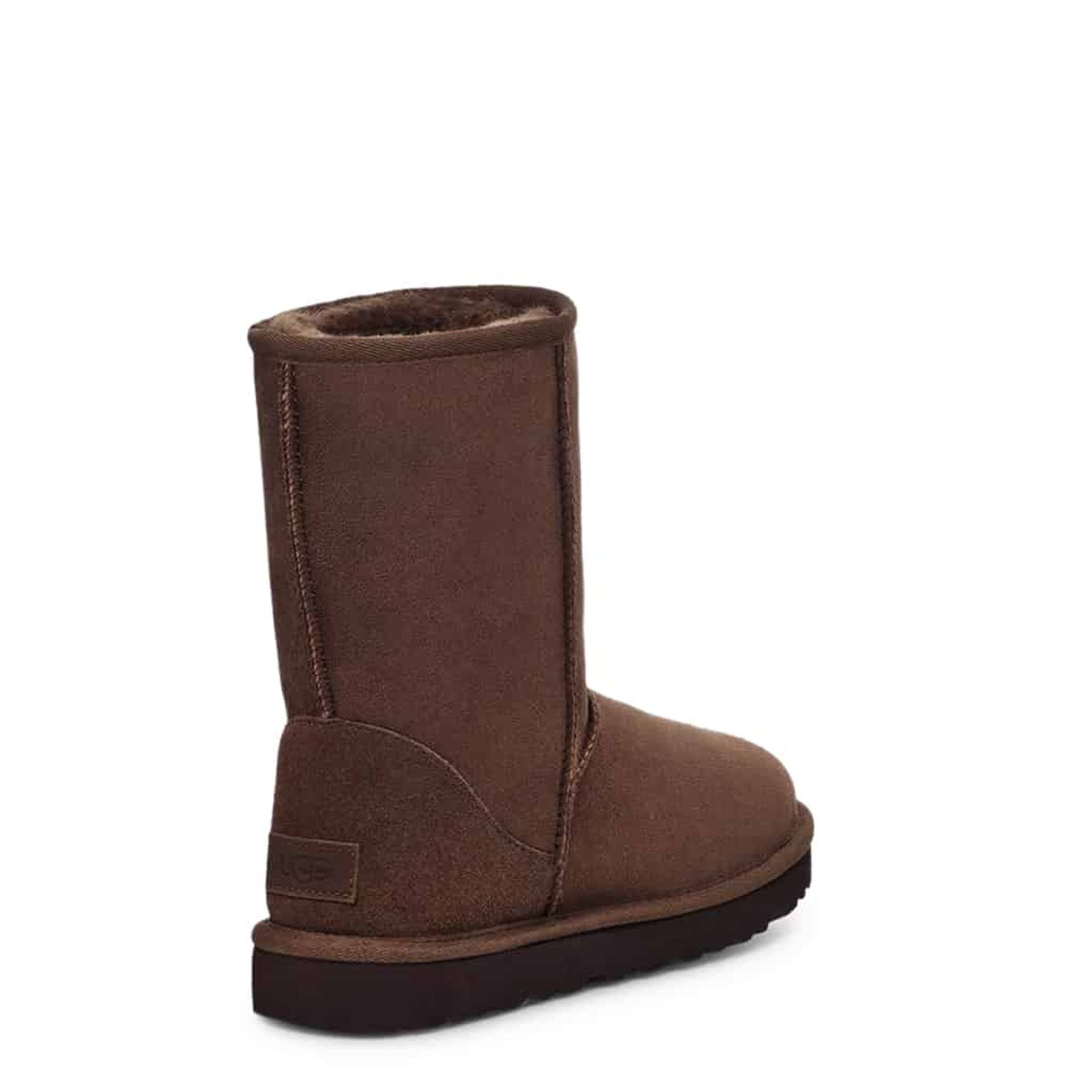 UGG Ankle boots - Fizigo